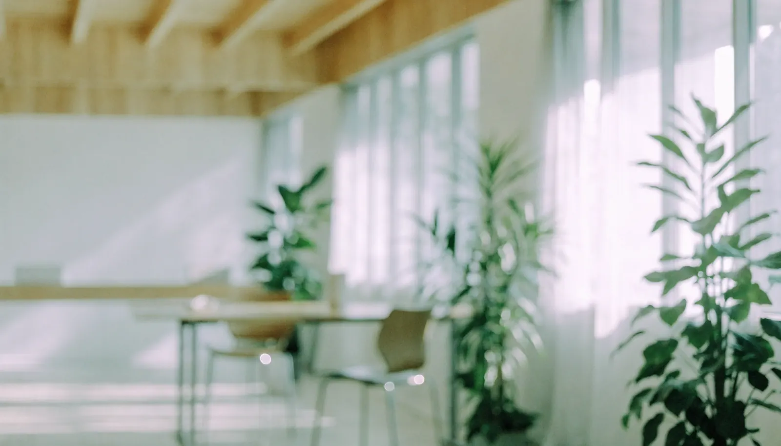 Bright, airy modern meeting space